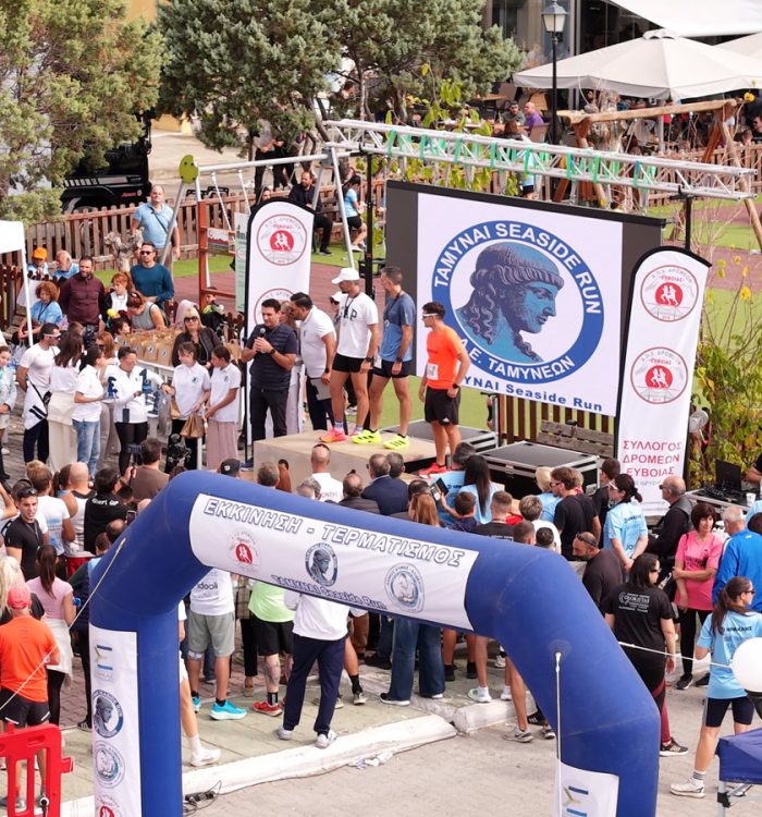 tanymai seaside run ideoli lighting